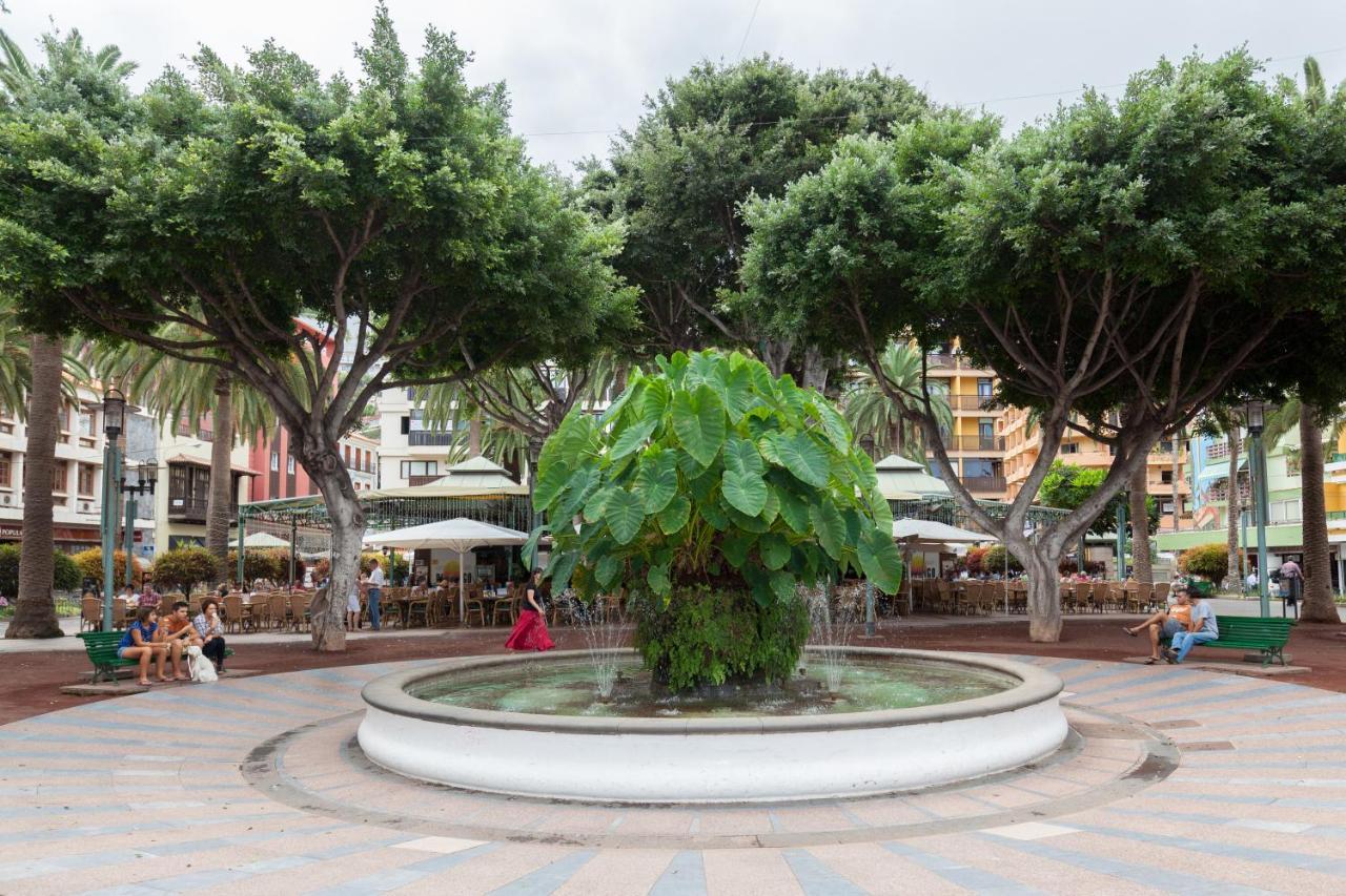 Home2Book Charming Apartment Puerto De La Cruz, 103 外观 照片